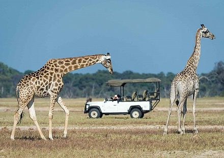 sunsafaris-zimbabwe-tour